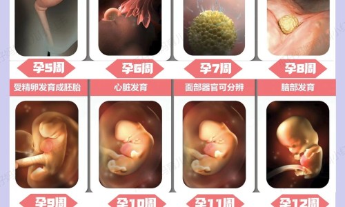 十二条经络的功效网-分享十二条经络的走向，十二条经络有哪些知识库